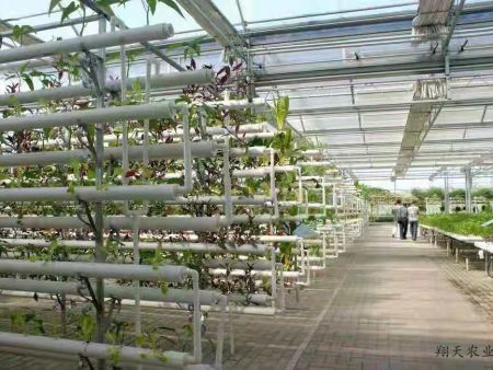 leyu乐鱼app在线登录：百项资产大拍卖：机遇与多元价值的盛宴